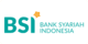 BSI Net